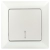 Выключатель одноклавишный ЭРА Intro Solo 10A 250V с подсветкой перламутровый 4-102-06 Б0053568, купить в Минске по самой низкой цене