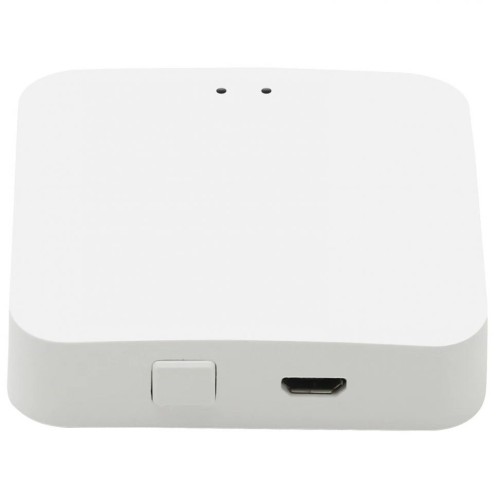 Беспроводной шлюз ДУ iLedex Technical Vision ZGB 1, купить в Минске по самой низкой цене