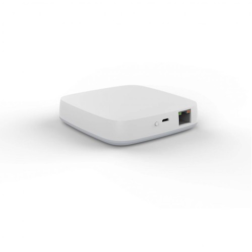 Проводной шлюз ДУ iLedex Technical Vision ZGB 2, купить в Минске по самой низкой цене