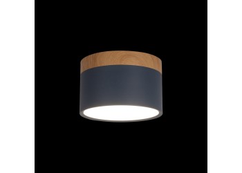 Накладной светодиодный светильник Loft IT Grape 10162 Blue