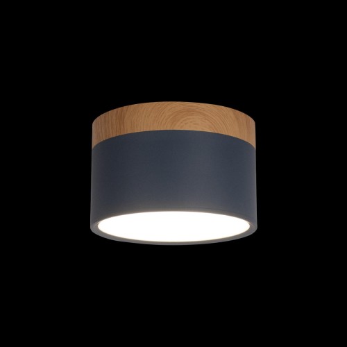 Накладной светодиодный светильник Loft IT Grape 10162 Blue, купить в Минске по самой низкой цене