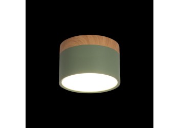 Накладной светодиодный светильник Loft IT Grape 10162 Green