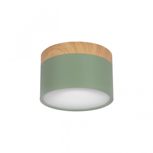 Накладной светодиодный светильник Loft IT Grape 10162 Green, купить в Минске по самой низкой цене