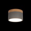 Накладной светодиодный светильник Loft IT Grape 10162 Grey, купить в Минске по самой низкой цене