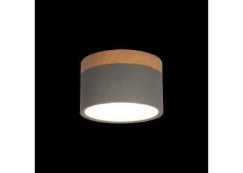 Накладной светодиодный светильник Loft IT Grape 10162 Grey