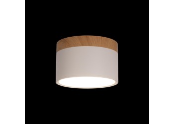 Накладной светодиодный светильник Loft IT Grape 10162 White