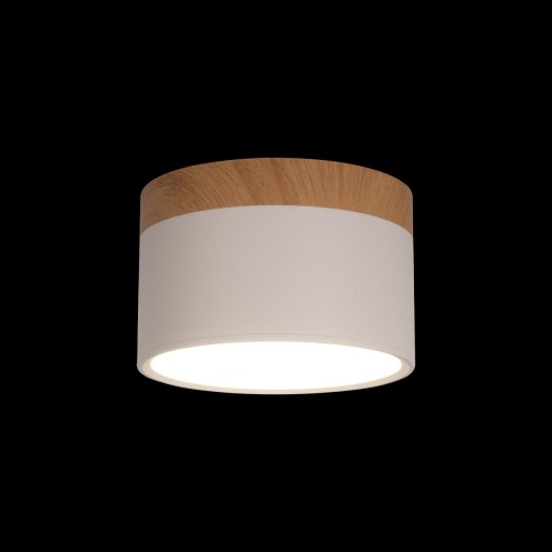 Накладной светодиодный светильник Loft IT Grape 10162 White, купить в Минске по самой низкой цене