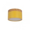 Накладной светодиодный светильник Loft IT Grape 10162 Yellow, купить в Минске по самой низкой цене