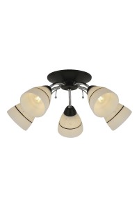 Потолочная люстра Toplight Winnifred TL1255D-05BC