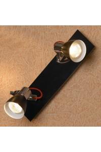 Настенно-потолочный светильник Lussole LSL-7401-02