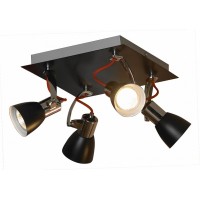 Настенно-потолочный светильник Lussole LSL-7401-04