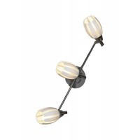Настенно-потолочный светильник Lussole LSX-6701-03