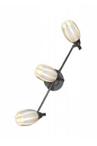 Настенно-потолочный светильник Lussole LSX-6701-03