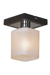 Потолочный светильник Lussole Costanzo GRLSL-9007-01