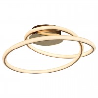 Потолочный светодиодный светильник Lussole Loft Ingersoll LSP-8346