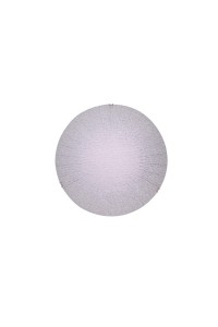 Настенно-потолочный светильник Citilux Лучи CL917002