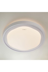 Потолочный светильник Eurosvet 40006/1 LED белый