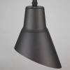 Подвесной светильник Eurosvet 50069/1 черный