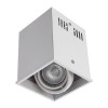 Потолочный светильник Arte Lamp Cardani A5942PL-1WH