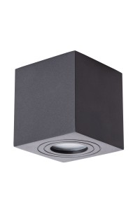 Потолочный светильник Arte Lamp Galopin A1461PL-1BK