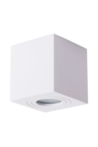Потолочный светильник Arte Lamp Galopin A1461PL-1WH