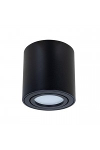 Потолочный светильник Arte Lamp Beid A1513PL-1BK