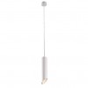 Подвесной светильник Arte Lamp Pilon-Silver A1536SP-1WH