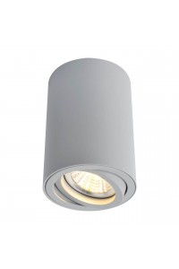 Потолочный светильник Arte Lamp A1560PL-1GY