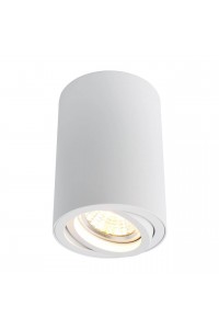 Потолочный светильник Arte Lamp A1560PL-1WH