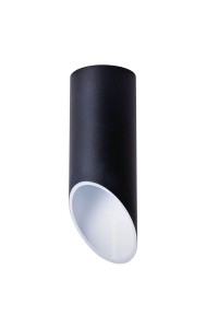 Потолочный светильник Arte Lamp Pilon A1615PL-1BK
