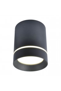 Потолочный светодиодный светильник Arte Lamp A1909PL-1BK