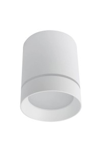Потолочный светодиодный светильник Arte Lamp A1909PL-1WH
