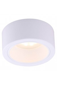 Потолочный светильник Arte Lamp Effetto A5553PL-1WH