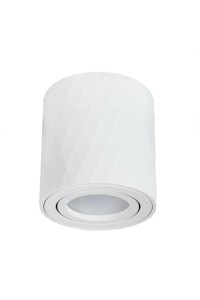 Потолочный светильник Arte Lamp Fang A5559PL-1WH