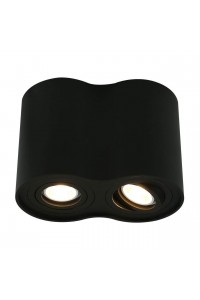 Потолочный светильник Arte Lamp A5644PL-2BK