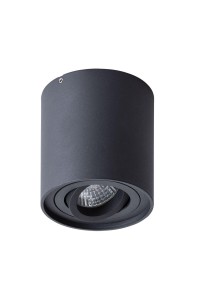 Потолочный светильник Arte Lamp Falcon A5645PL-1BK