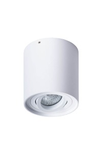 Потолочный светильник Arte Lamp Falcon A5645PL-1WH