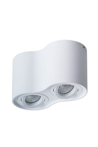 Потолочный светильник Arte Lamp Falcon A5645PL-2WH
