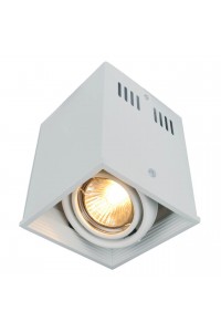 Потолочный светильник Arte Lamp Cardani A5942PL-1WH