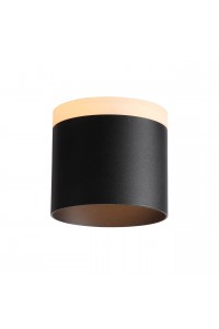 Потолочный светодиодный светильник ST Luce Panaggio ST102.402.12