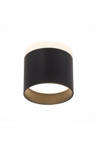 Потолочный светодиодный светильник ST Luce Panaggio ST102.442.09