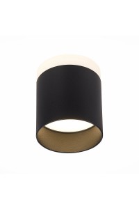 Потолочный светодиодный светильник ST Luce Panaggio ST102.442.12