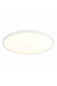 Настенно-потолочный светодиодный светильник ST Luce ST601.532.48