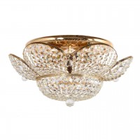 Потолочный светильник Arti Lampadari Alassio E 1.2.50.600 G