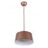 Подвесной светильник Arti Lampadari Tempo E 1.3.P1 BR