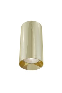 Потолочный светильник Maytoni Technical Focus C010CL-01G