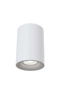 Потолочный светильник Maytoni Alfa C012CL-01W