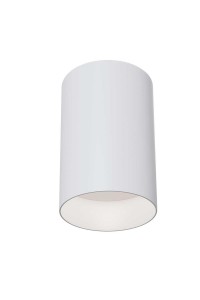 Потолочный светильник Maytoni Alfa C014CL-01W