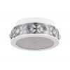 Потолочный светодиодный светильник Ambrella light Ice FA9420