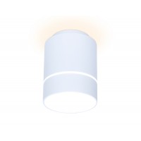 Потолочный светодиодный светильник Ambrella light Techno Spot TN256